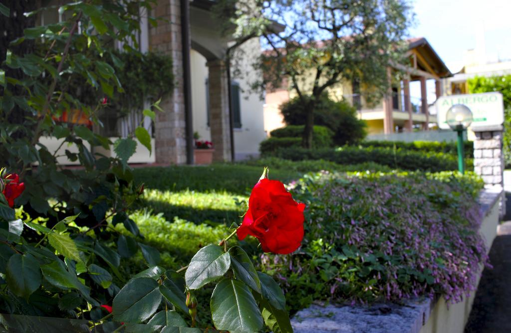 Albergo La Quiete Desenzano del Garda Eksteriør bilde